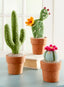 Hand-felted Mini Cactuses