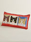 Cat's Meow Embroidered Pillows