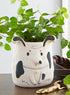 Perky Pet Planters