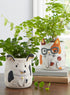 Perky Pet Planters